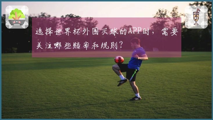 选择世界杯外围买球的APP时，需要关注哪些赔率和规则？