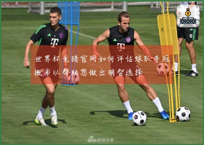 世界杯竞猜官网如何评估球队夺冠概率以帮助您做出明智选择