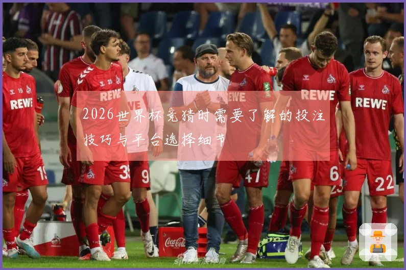 2026世界杯竞猜时需要了解的投注技巧与平台选择细节