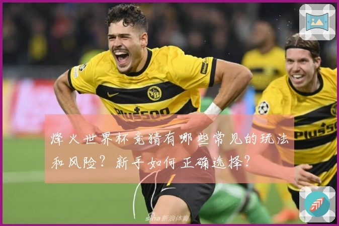 烽火世界杯竞猜有哪些常见的玩法和风险？新手如何正确选择？