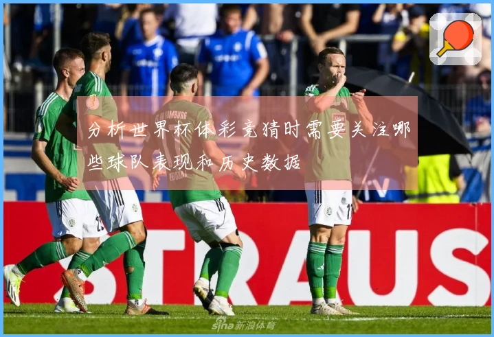 分析世界杯体彩竞猜时需要关注哪些球队表现和历史数据