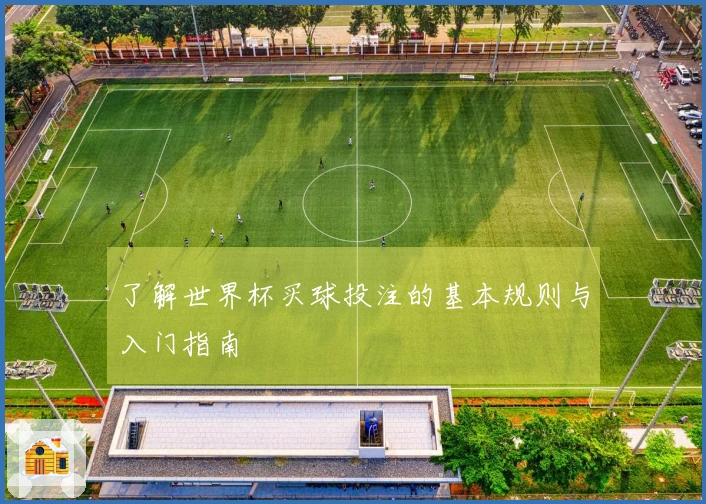 了解世界杯买球投注的基本规则与入门指南