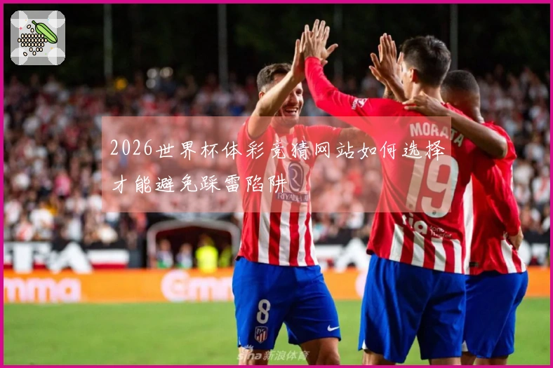 2026世界杯体彩竞猜网站如何选择才能避免踩雷陷阱