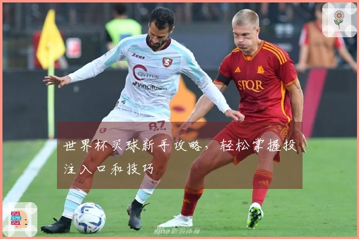 世界杯买球新手攻略，轻松掌握投注入口和技巧