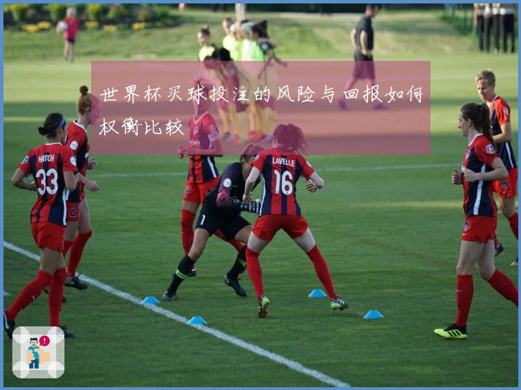 世界杯买球投注的风险与回报如何权衡比较