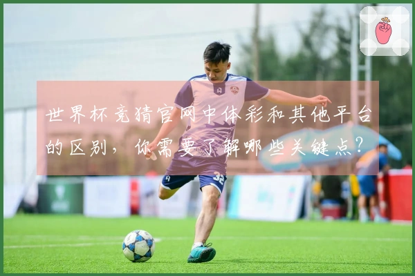 世界杯竞猜官网中体彩和其他平台的区别，你需要了解哪些关键点？
