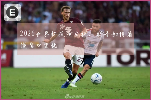 2026世界杯投注分析：新手如何看懂盘口变化