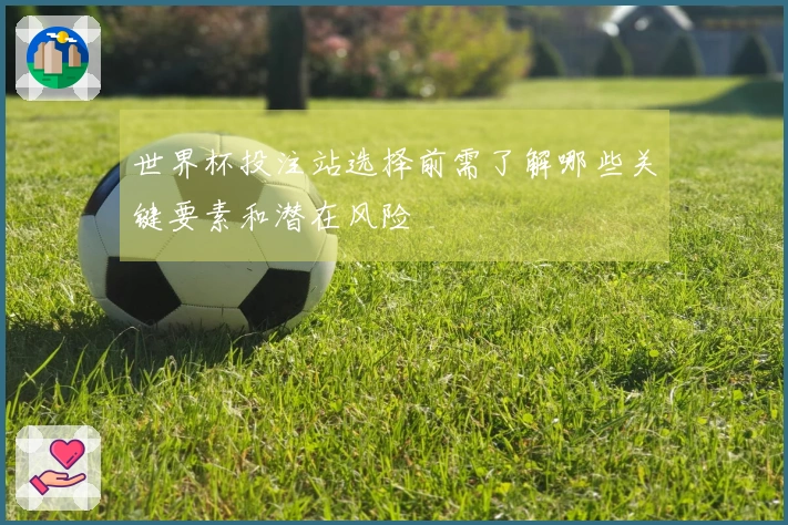 世界杯投注站选择前需了解哪些关键要素和潜在风险