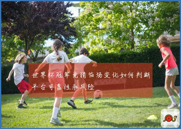 世界杯冠军竞猜临场变化如何判断平台可靠性和风险
