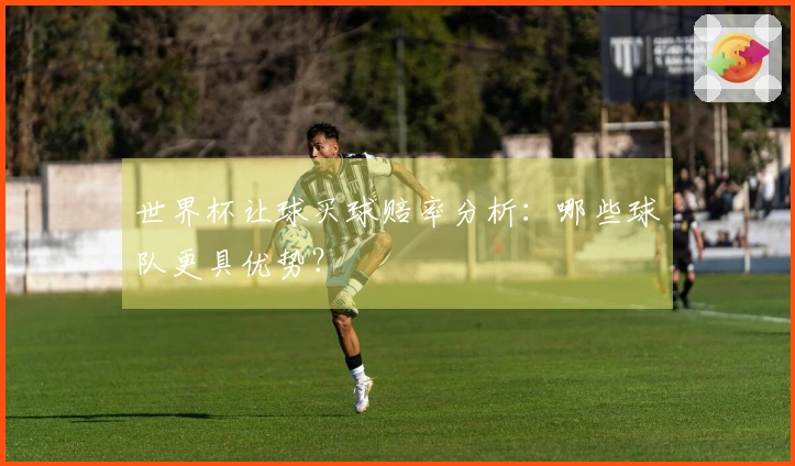 世界杯让球买球赔率分析：哪些球队更具优势？