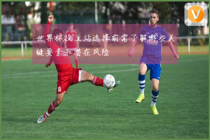 世界杯投注站选择前需了解哪些关键要素和潜在风险