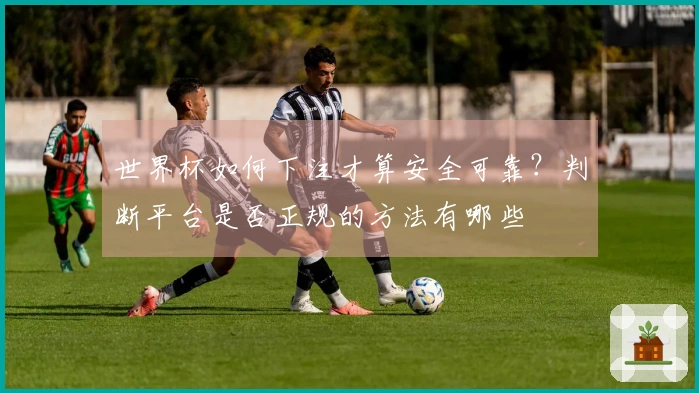 世界杯如何下注才算安全可靠？判断平台是否正规的方法有哪些