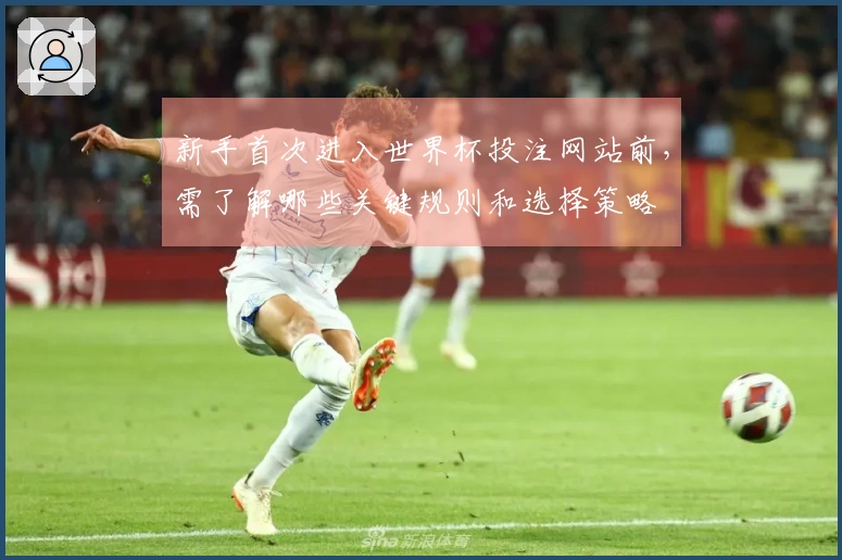 新手首次进入世界杯投注网站前，需了解哪些关键规则和选择策略