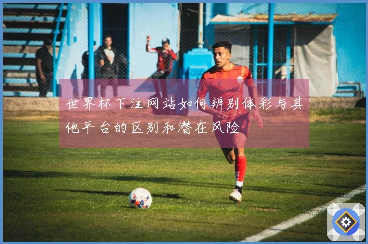 世界杯下注网站如何辨别体彩与其他平台的区别和潜在风险