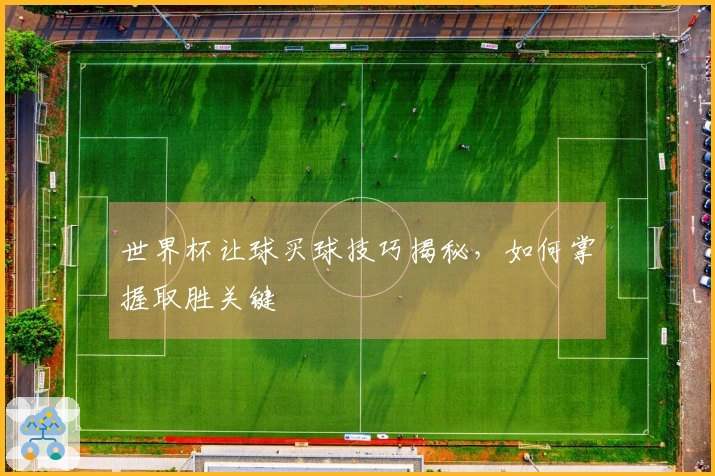 世界杯让球买球技巧揭秘，如何掌握取胜关键