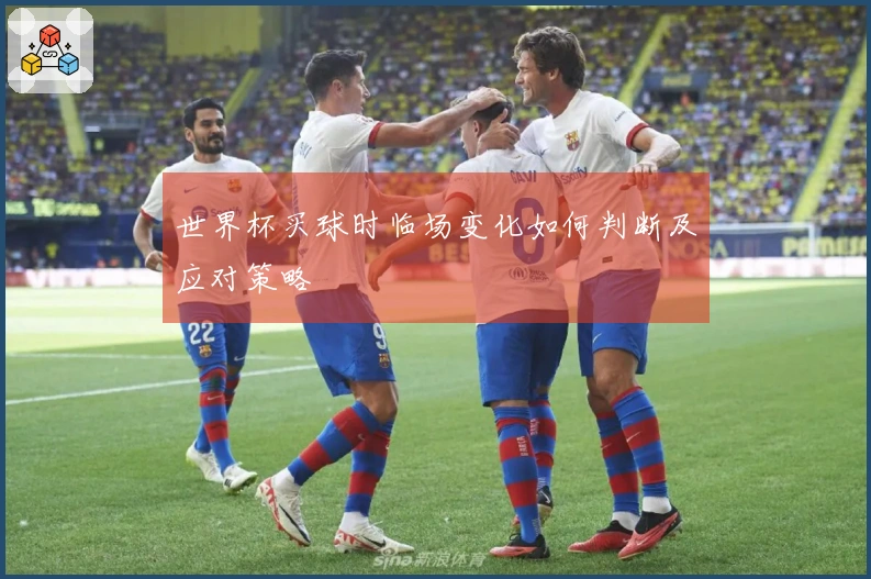 世界杯买球时临场变化如何判断及应对策略