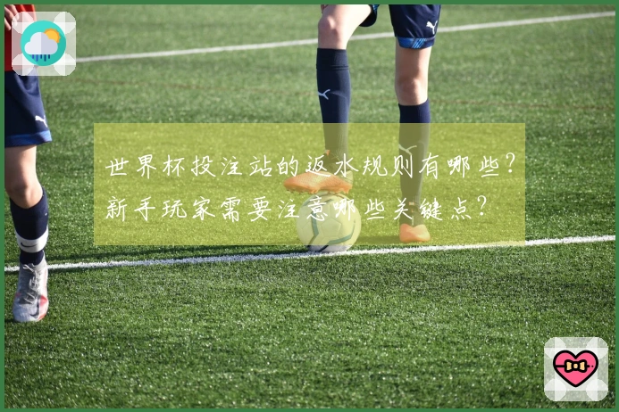 世界杯投注站的返水规则有哪些？新手玩家需要注意哪些关键点？
