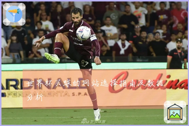 世界杯买球的网站选择指南及数据分析