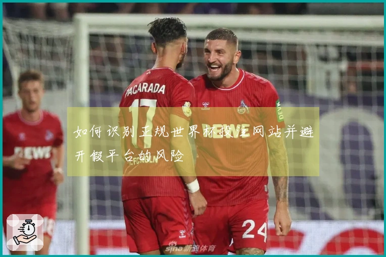 如何识别正规世界杯投注网站并避开假平台的风险