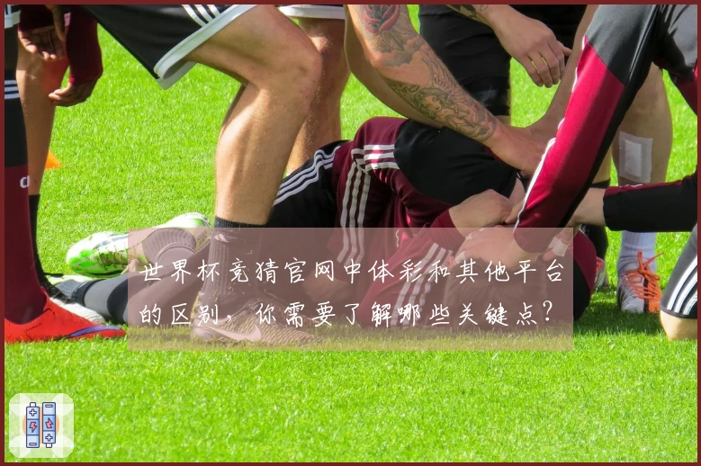 世界杯竞猜官网中体彩和其他平台的区别，你需要了解哪些关键点？