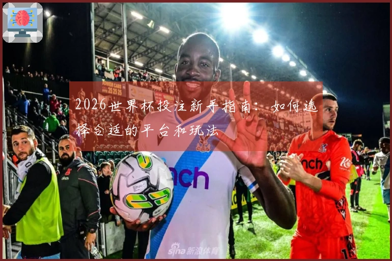 2026世界杯投注新手指南：如何选择合适的平台和玩法