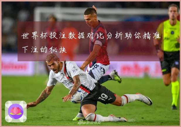 世界杯投注数据对比分析助你精准下注的秘诀