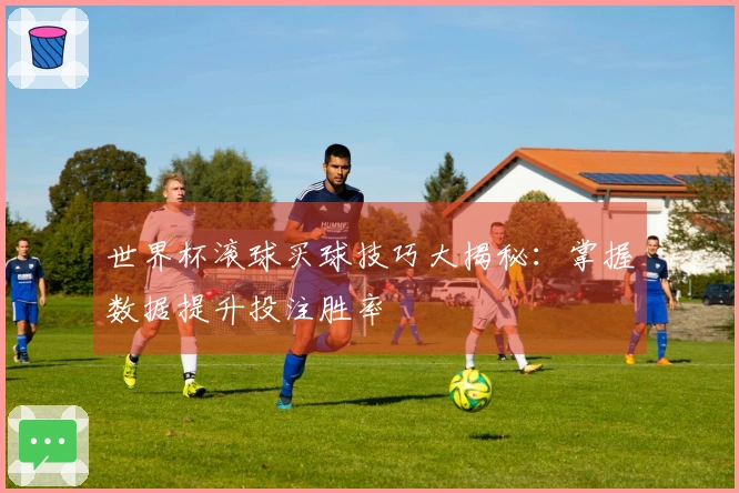 世界杯滚球买球技巧大揭秘：掌握数据提升投注胜率