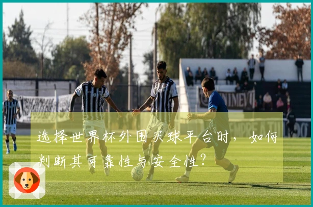 选择世界杯外围买球平台时，如何判断其可靠性与安全性？