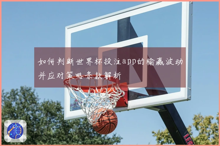 如何判断世界杯投注app的输赢波动并应对策略条款解析