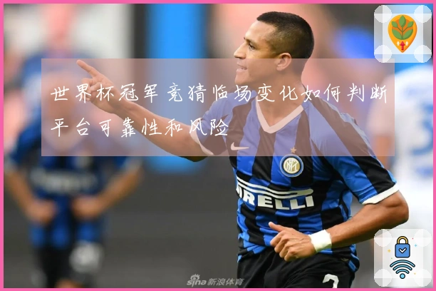 世界杯冠军竞猜临场变化如何判断平台可靠性和风险