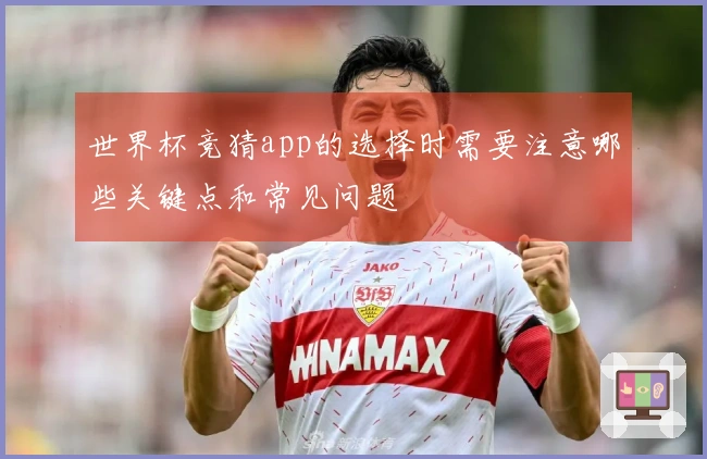 世界杯竞猜app的选择时需要注意哪些关键点和常见问题