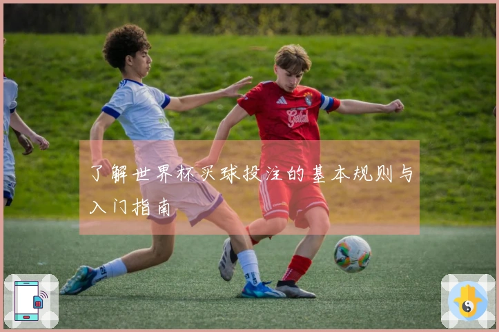 了解世界杯买球投注的基本规则与入门指南