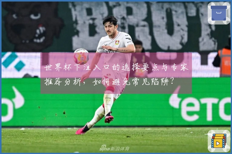世界杯下注入口的选择要点与专家推荐分析，如何避免常见陷阱？