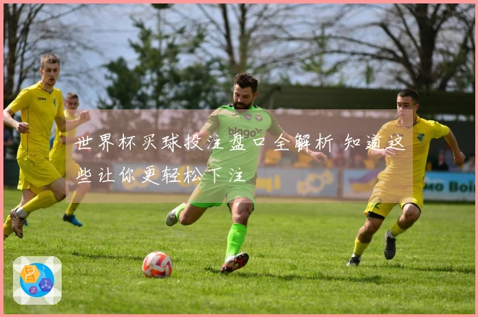 世界杯买球投注盘口全解析 知道这些让你更轻松下注