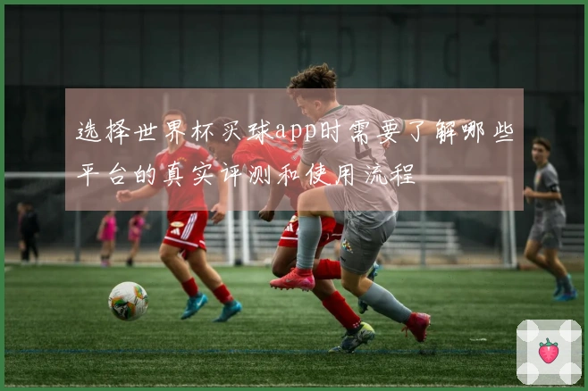 选择世界杯买球app时需要了解哪些平台的真实评测和使用流程